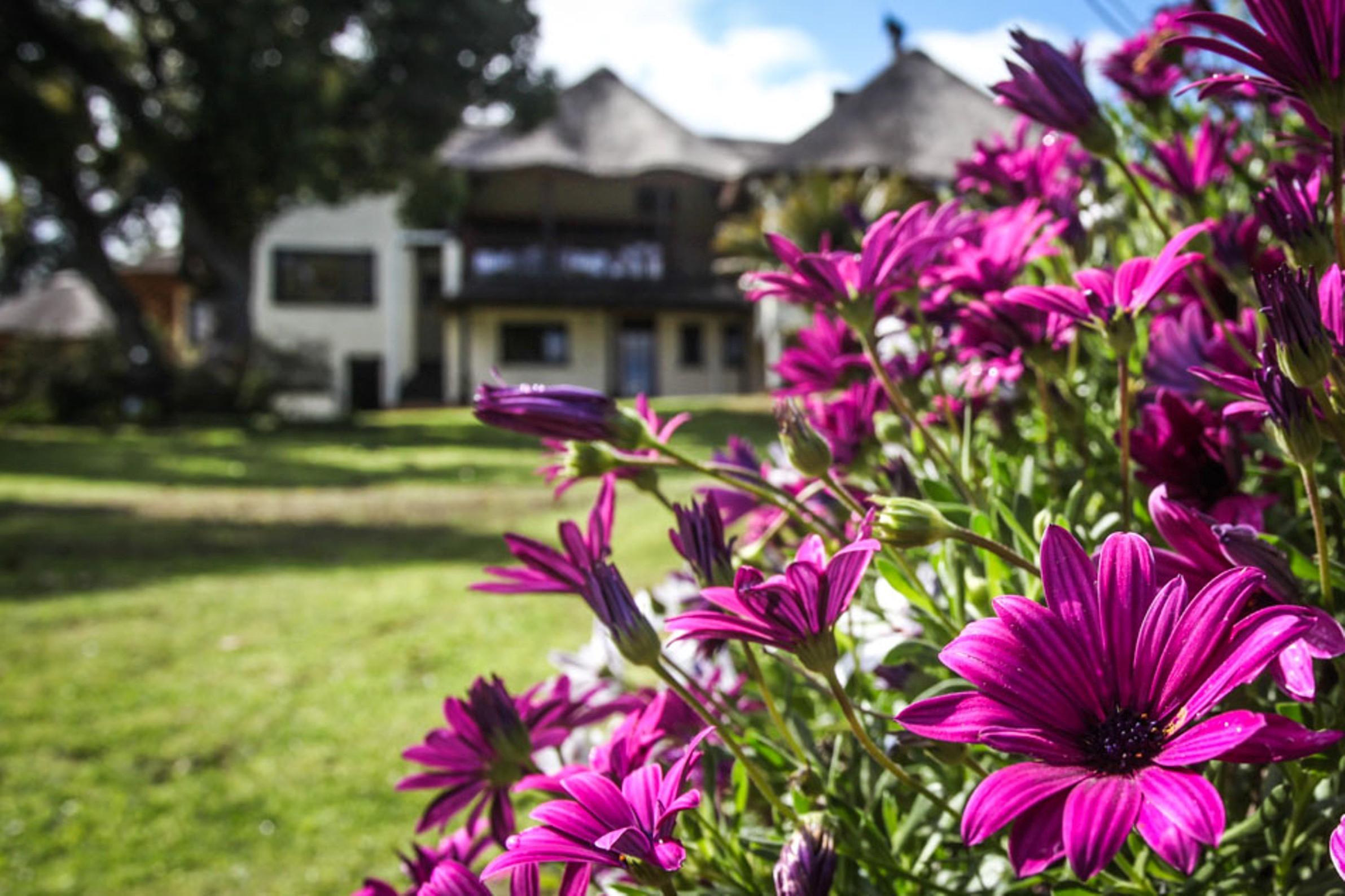 Winelands Villa Guesthouse And Cottages Somerset West Exterior foto