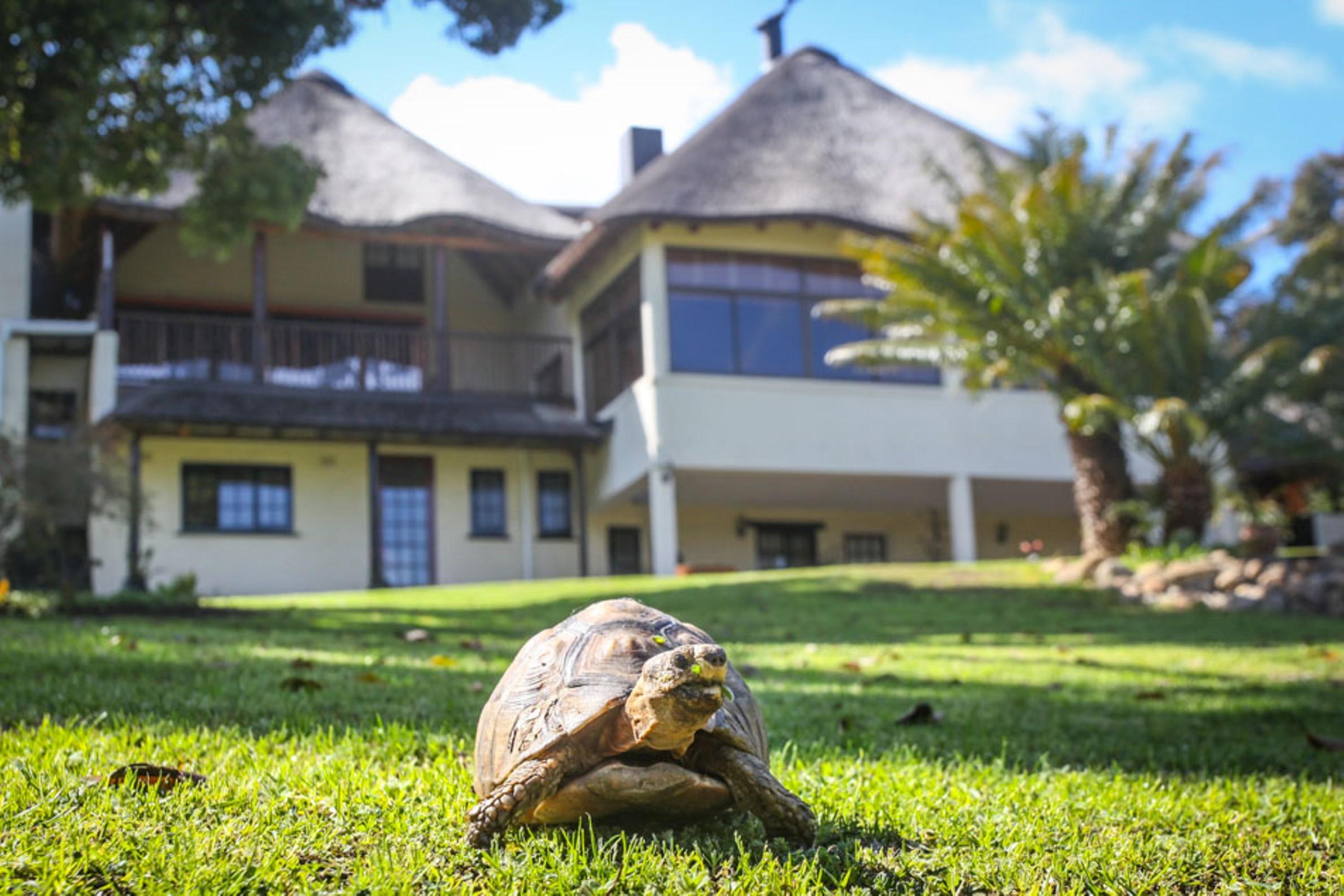 Winelands Villa Guesthouse And Cottages Somerset West Exterior foto