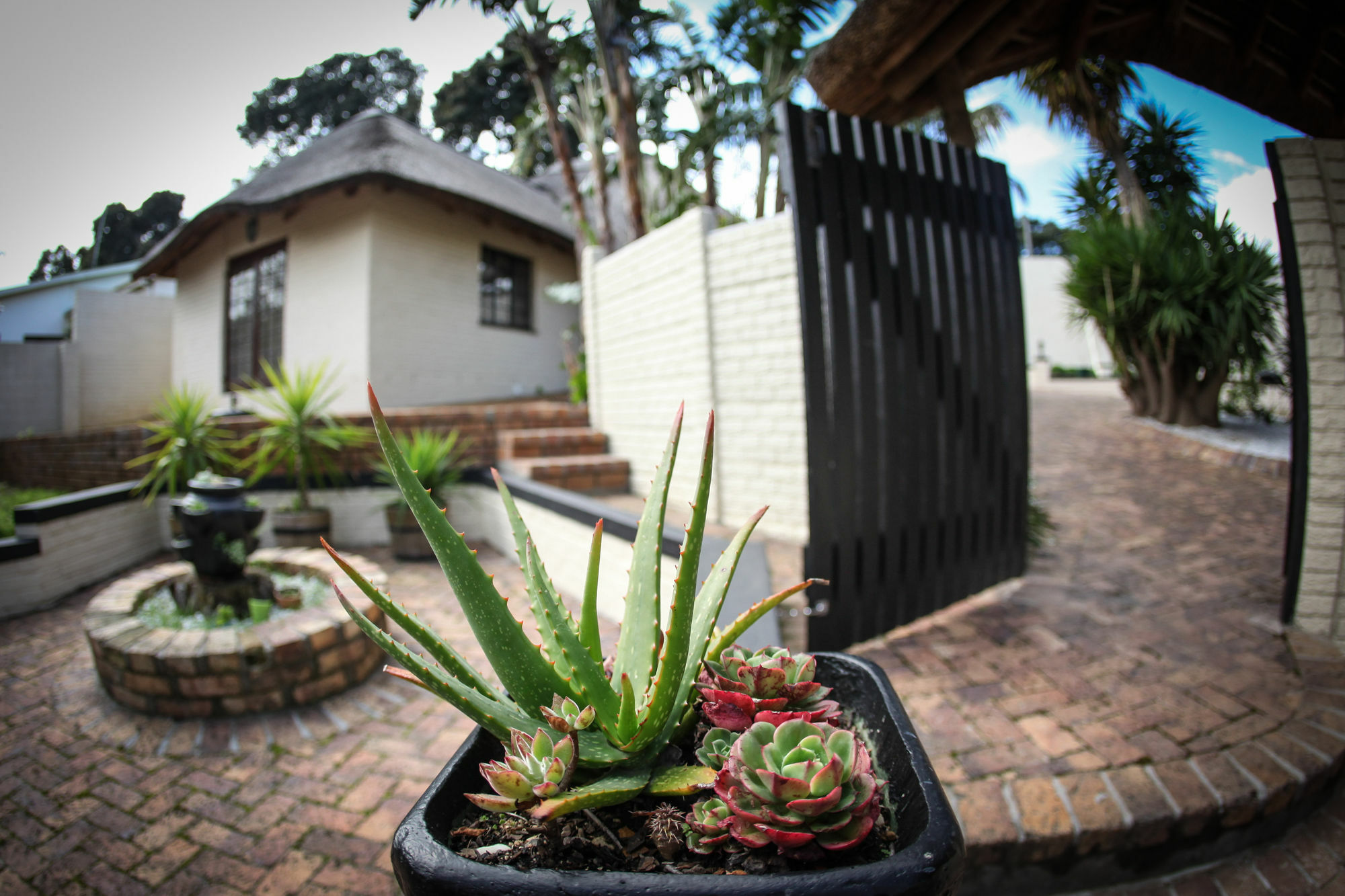 Winelands Villa Guesthouse And Cottages Somerset West Exterior foto